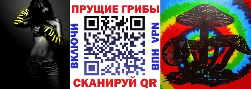 Псилоцибиновые грибы Psilocybe Сретенск