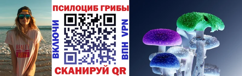 цены наркотик  Сретенск  Псилоцибиновые грибы ЛСД 